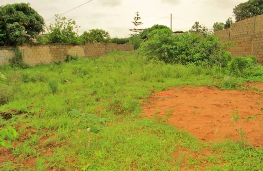 Terreno - Bairro Habel Jafar - Distrito de Marracuene - Província de Maputo