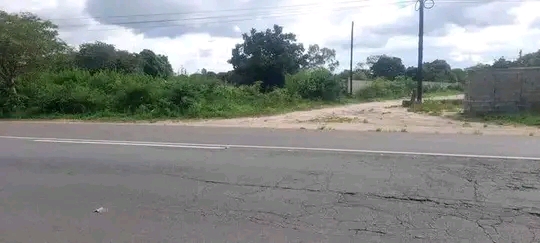 Propriedade (Terreno) para Investimento - Bobole – Distrito de Marracuene - EN1