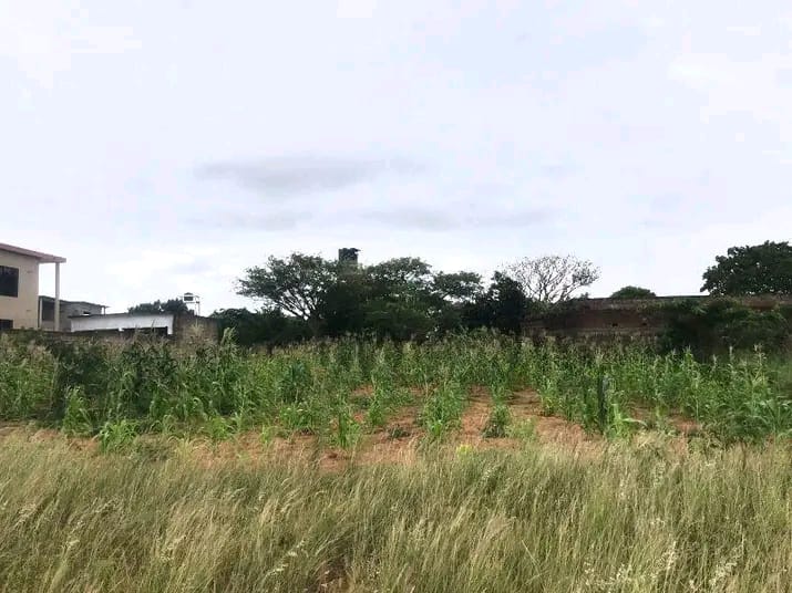 Trespassa-se Propriedade (Terreno) – Ricatla (FACIM) - Distrito de Marracuene